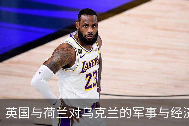 英国与荷兰对乌克兰的军事与经济援助深化分析